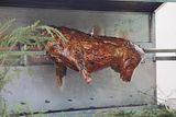 wald_jagdtag_25_06_2023 (231)